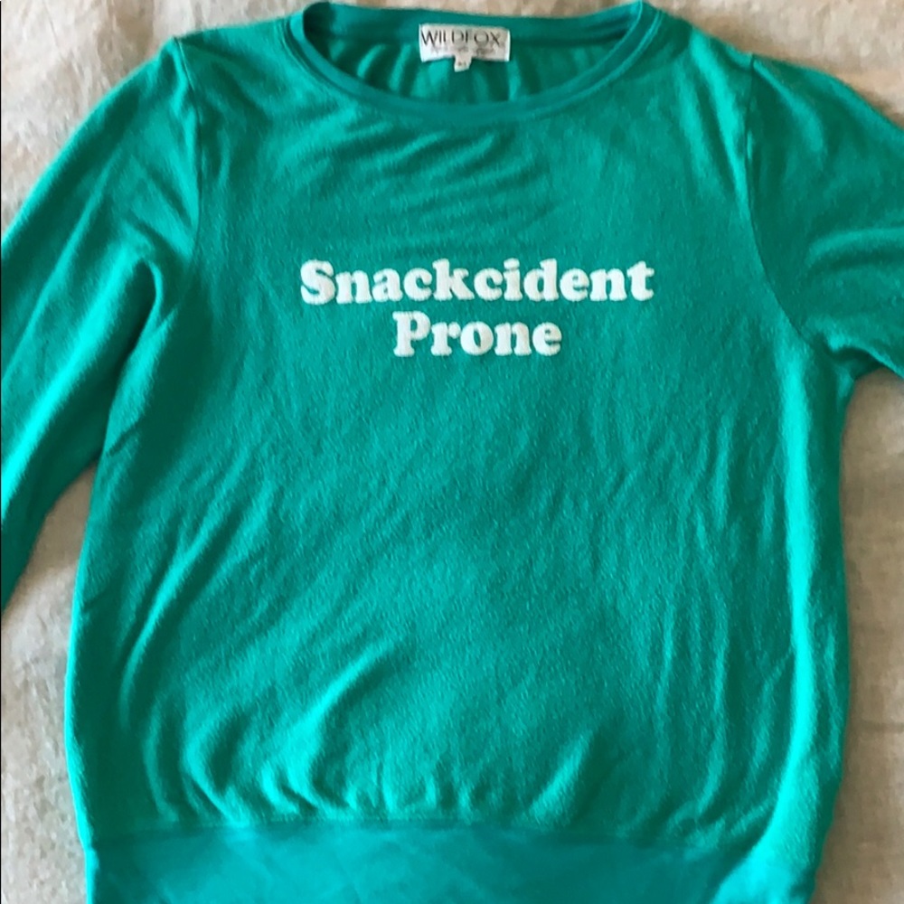 Wildfox snackcident prone jumper